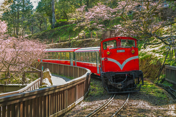 railway in alishan forest recreation area, taiwan