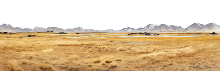 Vast treeless plain in colder climate, cut out