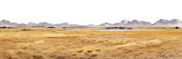 Vast treeless plain in colder climate, cut out