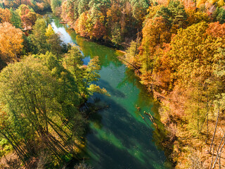 Colorful autumn trees at sunrise at the Brda River, Poland. - obrazy, fototapety, plakaty