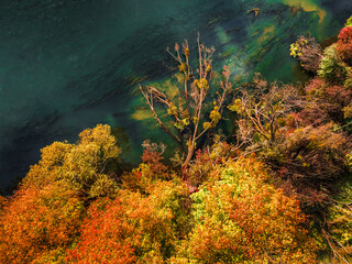 Autumn forest and river Brda. Aerial view of wildlife. - obrazy, fototapety, plakaty