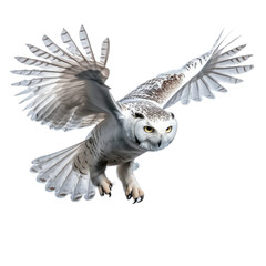 Obraz premium a Snowy Owl, flying, 3/4 view, isolated, and transparent PNG in a Nature-themed, photorealistic illustration. Generative ai