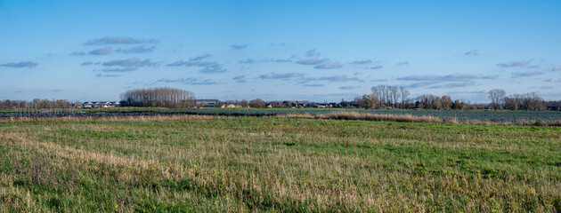 Extra large panoramic view over green meadows and cereal agriculture fields, Belgium