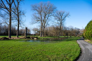Bare winter trees reflecting in shallow water and a bending road around Imde, Belgium