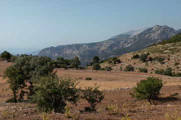 Mediterranean rocky landscape. Mountains in the distance. Multilevel Yellow grass terraces with stone fences. Turkish countryside.
