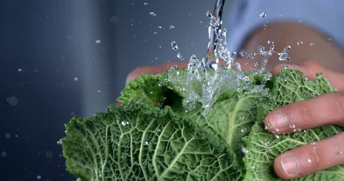 Super slow motion macro of splashing water drops are falling on fresh organic green savoy cabbage while being washed by chef  in kitchen of restaurant before be cooked.