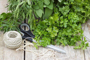 Freshly harvested herbs with scissors and string on wooden background