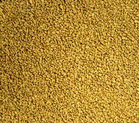 Fenugreek Seeds Isolated, Dry Trigonella, Spicy Methi Dana Grains, Indian Kitchen Seasoning Ingredient