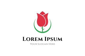 Beautiful tulip flower vector illustration design logo