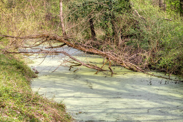 Bobri, Dolnja Bistrica is a meander from river Mura