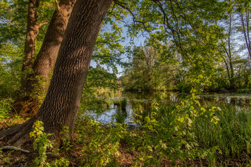 Bobri, Dolnja Bistrica is a meander from river Mura