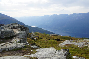 landscape in the mountains