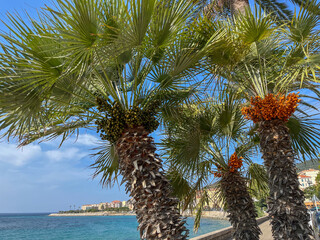 Ajaccio auf der Insel Korsika