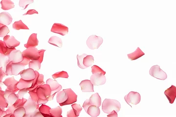 Tuinposter Valentine's Day concept, background of red rose petals on white background © pundapanda