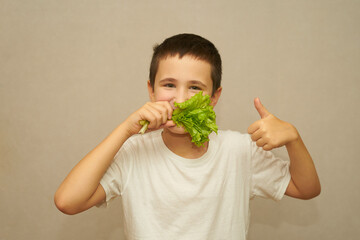 A happy child holds lettuce leaves in his hands