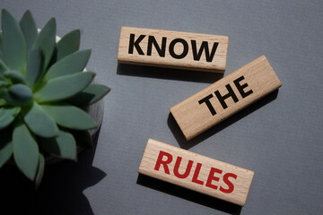 Know the rules symbol. Wooden blocks with words Know the rules. Businessman hand. Beautiful grey...