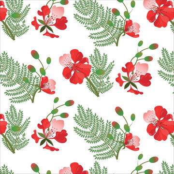 Vector seamless pattern with Gulmohar flowers. 