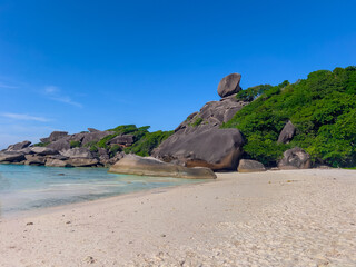 Kho Similan Island Coral reef teaming with reef fish of various colours. the Andaman Sea in ...