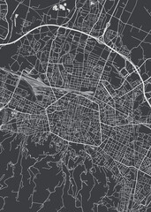 City map Bologna, monochrome detailed plan, vector illustration