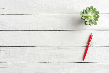 Office desktop concept. Red pen and small succulent on white wooden background with copyspace