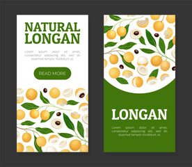 Longan Fresh Natural Fruit Banner Design Vector Template