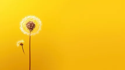 Fotobehang  a dandelion sitting on top of a yellow table next to another dandelion on top of a yellow table next to another dandelion on a yellow table. © Anna