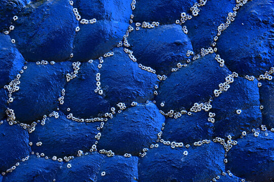 Textured blue stone wall with barnacle patterns