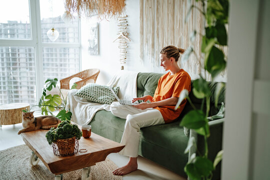 Young female smiling woman using laptop on sofa at home near cat on table