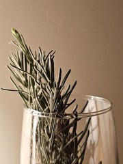 grass in a glass vase