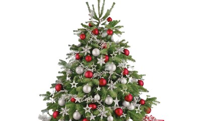 Beautiful Christmas tree for new year isolated on a white background