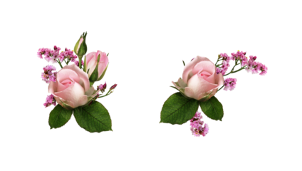 Set of floral arrangements with pink rose flowers and limonium isolated on white or transparent background