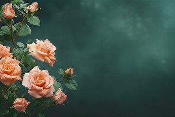 Peach Roses Flower Border Over a Forest Green Background With Copy Space. Copy space.
