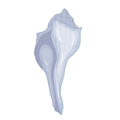Seashell.Summer marine decor. Vector graphics.