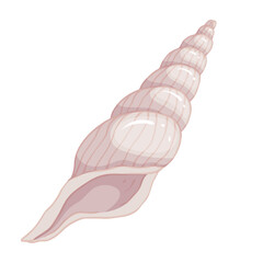 Seashell.Summer marine decor. Vector graphics.