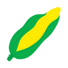 corn illustration design