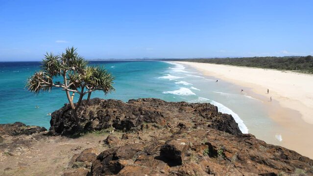 Time-lapse of panoramic Australian beach with iconic Pandanus tree