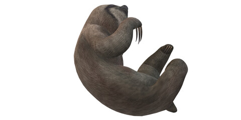 Sloth isolated on a Transparent Background