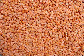 Masoor Dal on Grey Background