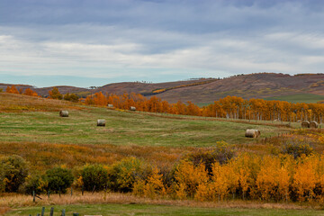 A drive through Foothills County Alberta Canada