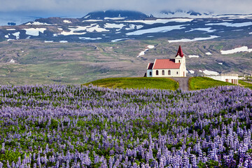 Ingjaldsholskirkja church in Helissandur. Snaefellsnes peninsula. Iceland
