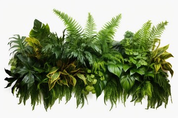 A collection of vibrant green plants arranged on a clean white surface. This versatile image can be used in various settings to add a touch of nature and freshness