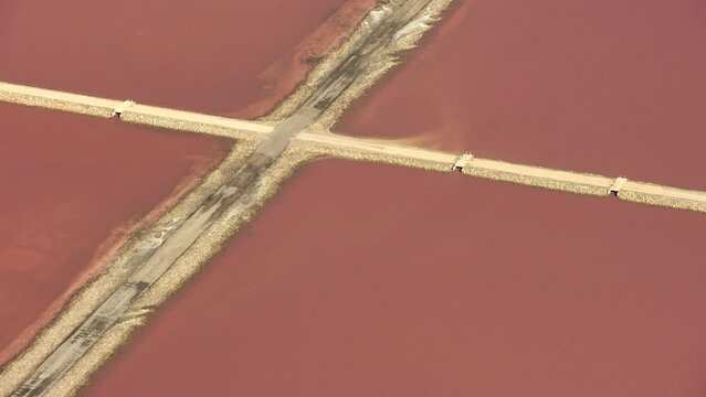 &eacute;tang rose camargue
