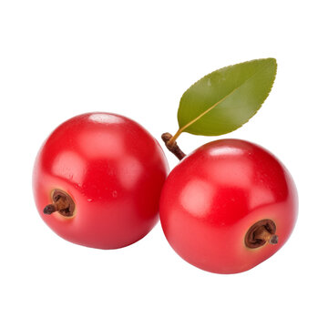 fresh organic mayhaw cut in half sliced with leaves isolated on white background with clipping path