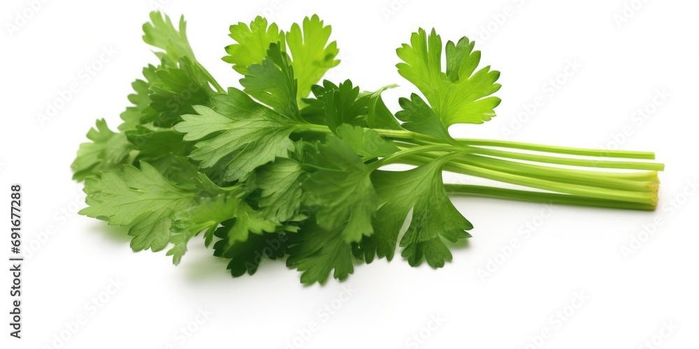 Poster a bunch of fresh parsley sitting on a clean white surface. perfect for adding a pop of green to any 