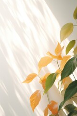 A detailed view of a plant in a vase. This image can be used to add a touch of nature and freshness to any interior setting