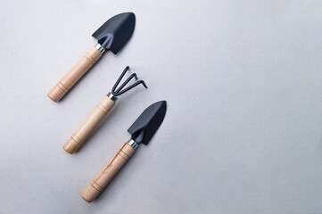 A set of miniature gardening tools on a gray background. Plant care utensils: shovel, spade, rake. Small garden tool for home and garden plants. Spring time. Copy space. Artificial noise