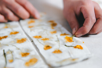 Close up of a textile artist hands doing botanical print on natural fiber clothing. Artistic natural flower dye on socks