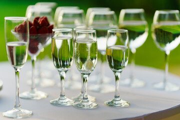 Champagne glasses on the buffet table. Table setting for a buffet at a party. 