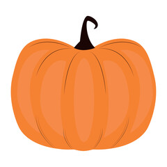 Isolated colored thanksgiving pumpkin icon Vector