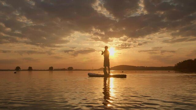 Silhouette of Man paddle boarding at lake during sunset together with pug dog. Concept of active tourism and supping with pets. Brave Dog Standing on SUP Board and enjoy lifestyle on summer vacation